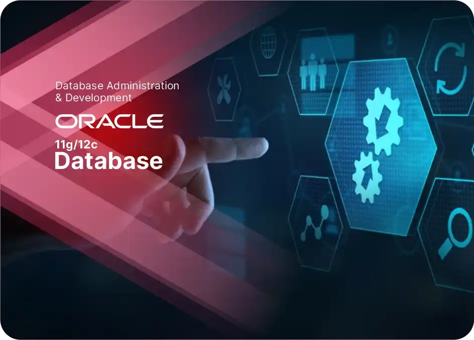 Oracle 11g/12c Database